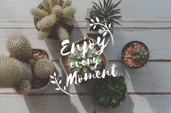 Tapeta z cytatem - Enjoy every moment