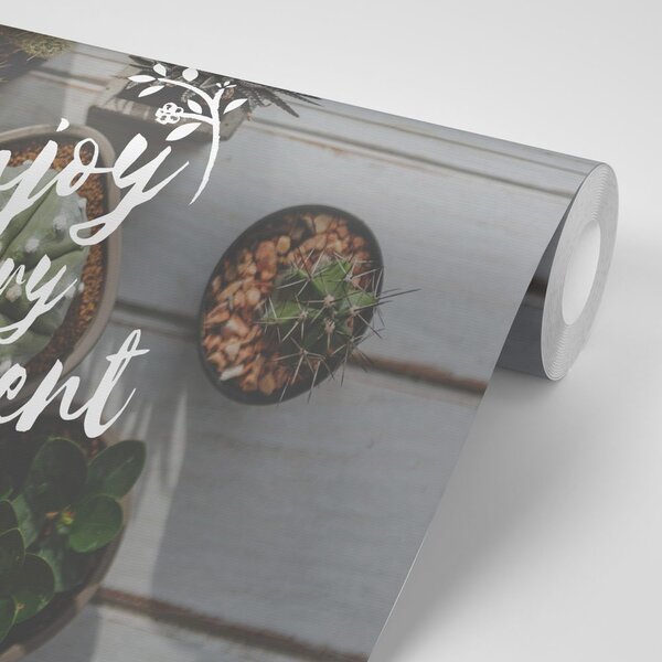 Tapeta z cytatem - Enjoy every moment