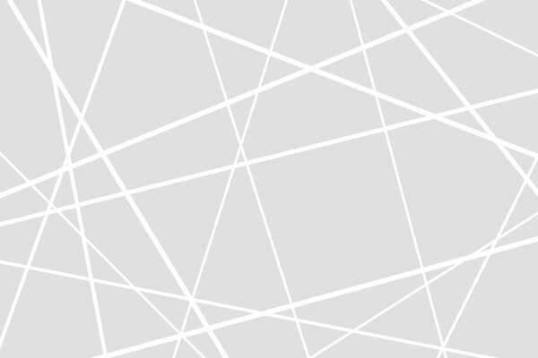 Tapeta nowoczesna pajęczyna
