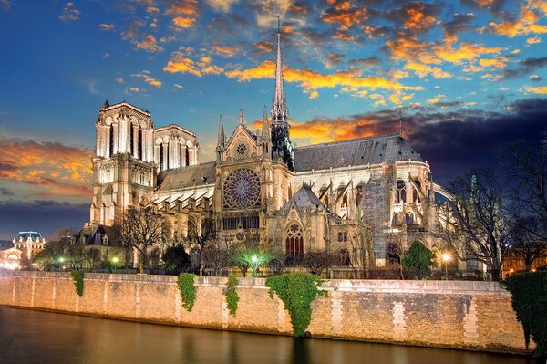 Fototapeta katedra Notre Dame