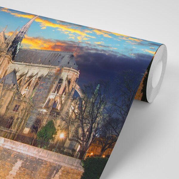 Fototapeta katedra Notre Dame