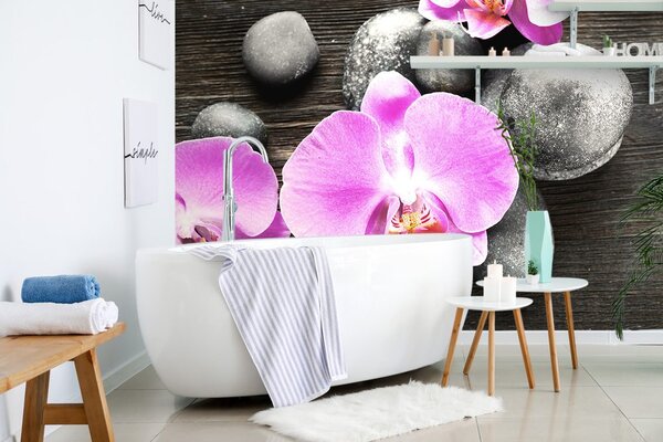 Fototapeta piękna orchidea i kamienie