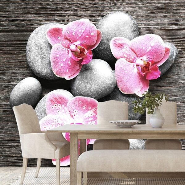 Fototapeta Kompozycja Zen z orchideą