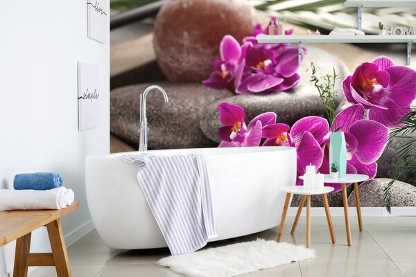 Tapeta piękna orchidea i kamienie Zen