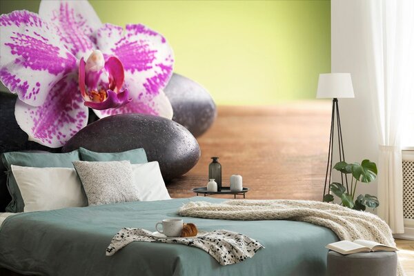 Fototapeta orchidea i czarne kamienie