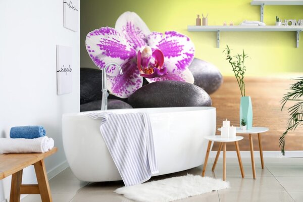 Fototapeta orchidea i czarne kamienie