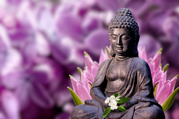 Fototapeta spokojny Budda