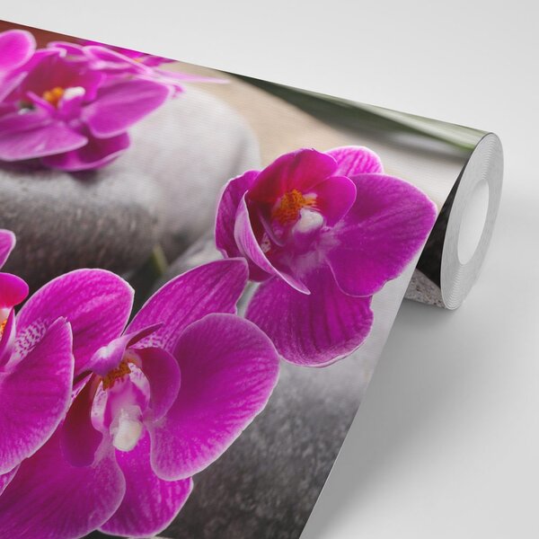 Tapeta piękna orchidea i kamienie Zen