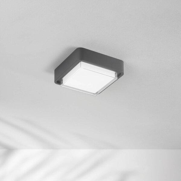 Fabas Luce Lampa sufitowa zewnętrzna LED Diuk, ciemnoszara, metal, IP65 Diuk, czarny, aluminium, nowoczesny