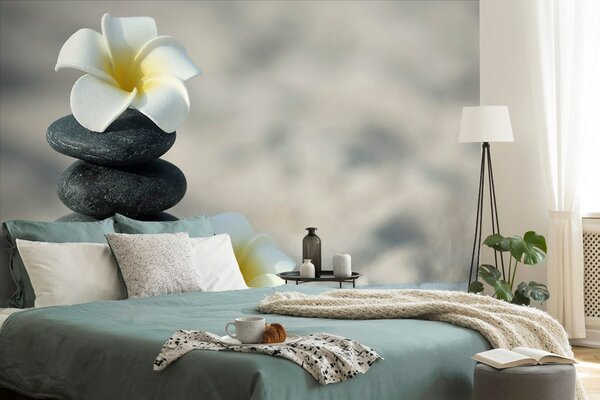 Fototapeta kamienie harmoniczne i plumeria