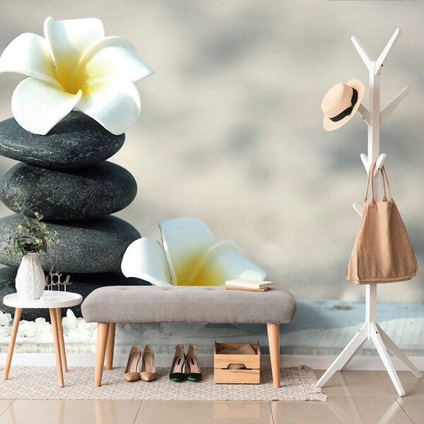 Fototapeta kamienie harmoniczne i plumeria