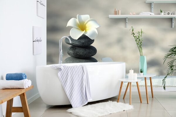 Fototapeta kamienie harmoniczne i plumeria