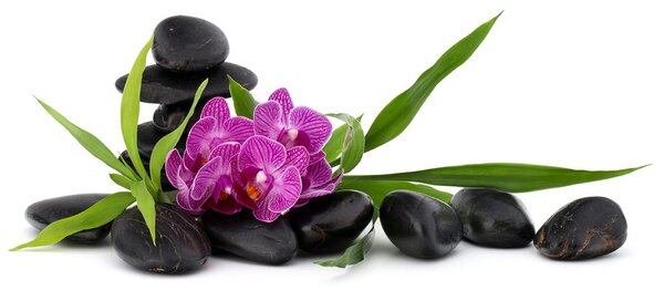 Tapeta fioletowa orchidea Zen zacisze