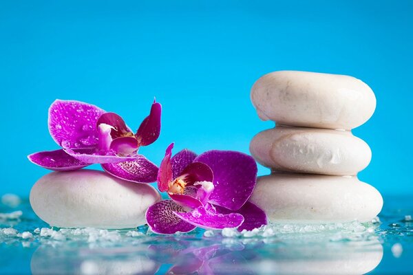Fototapeta wellness zacisze