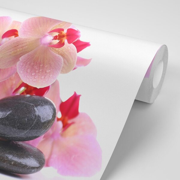 Fototapeta kamienie i orchidea