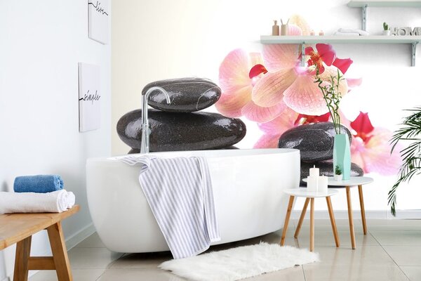Fototapeta kamienie i orchidea