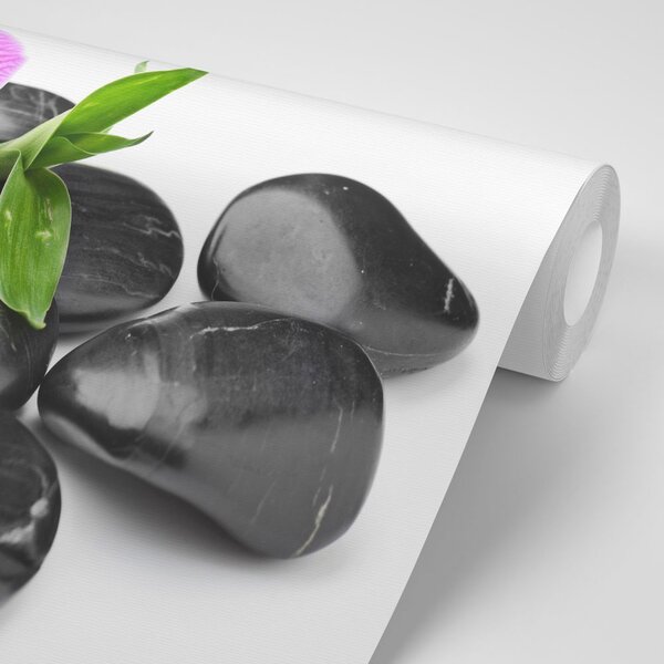 Tapeta kamienie wellness do masażu