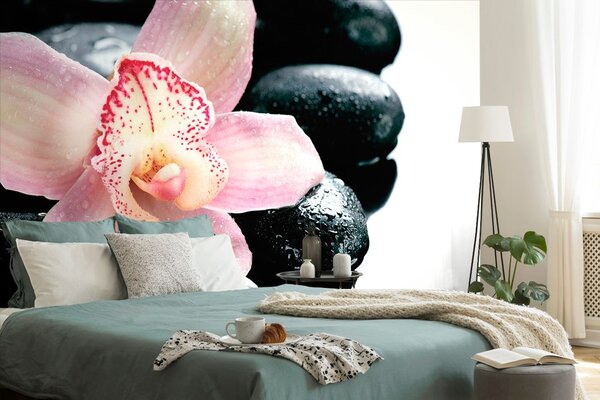 Fototapeta egzotyczna orchidea