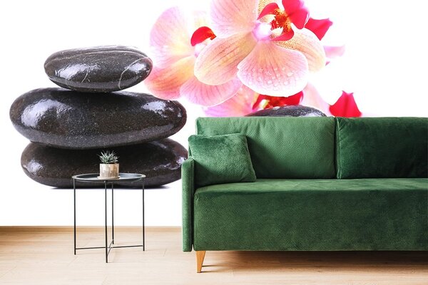 Fototapeta kamienie i orchidea