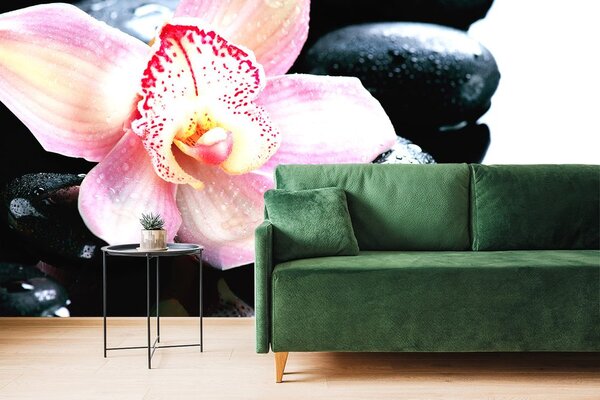 Fototapeta egzotyczna orchidea