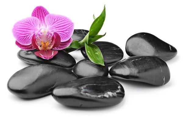 Tapeta kamienie wellness do masażu