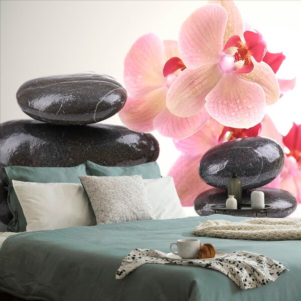 Fototapeta kamienie i orchidea