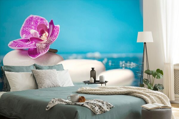 Fototapeta orchidea i kamienie Zen