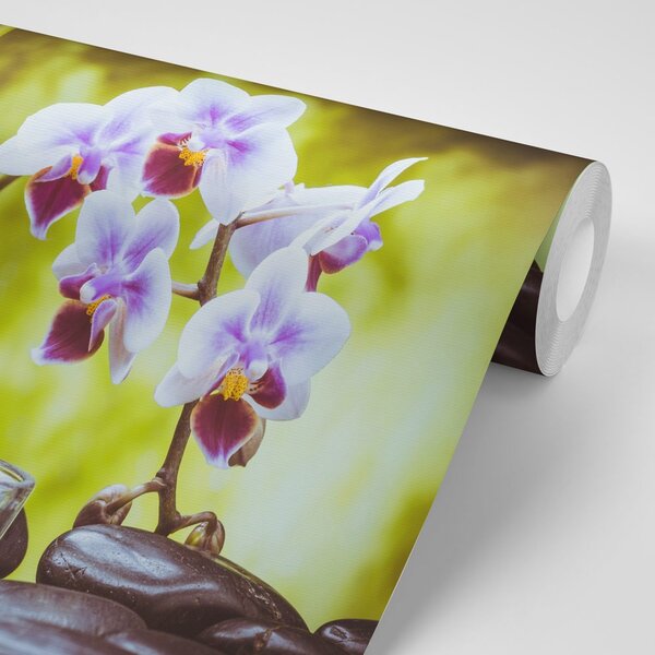 Fototapeta spa zacisze