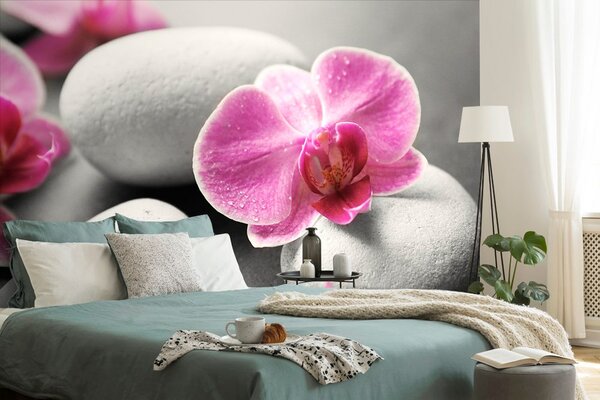 Fototapeta kwiaty orchidei na kamieniach