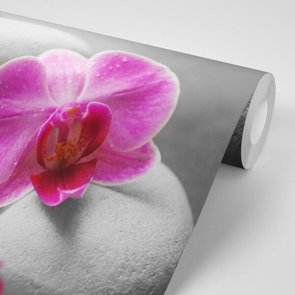 Fototapeta kwiaty orchidei na kamieniach