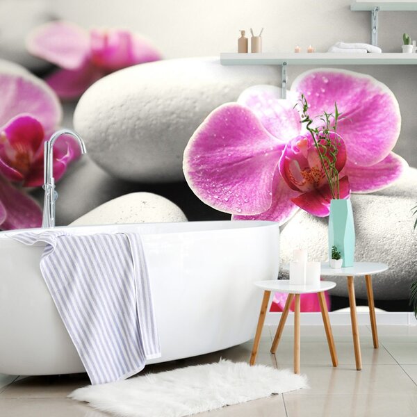 Fototapeta kwiaty orchidei na kamieniach