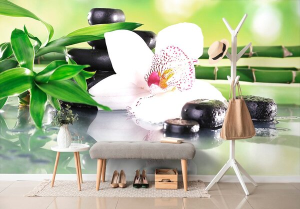 Fototapeta japońska orchidea