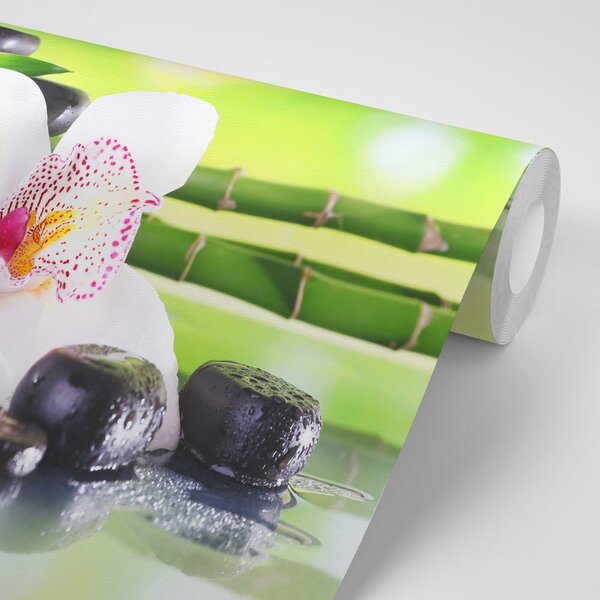 Fototapeta japońska orchidea
