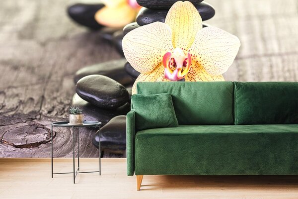Fototapeta orchidea i Zen kamienie