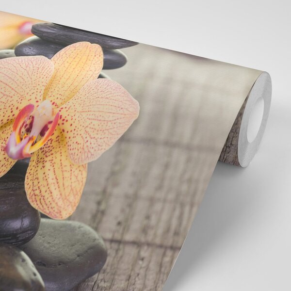 Fototapeta orchidea i Zen kamienie