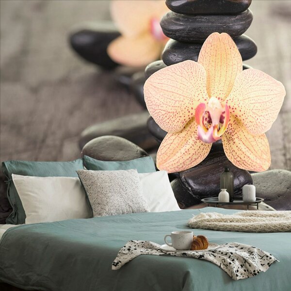 Fototapeta orchidea i Zen kamienie