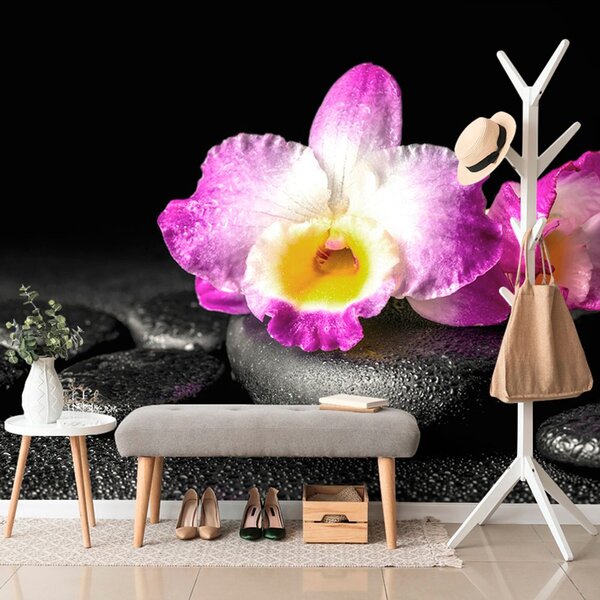 Fototapeta orchidea na kamieniach Zen
