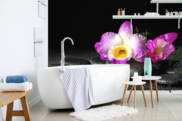 Fototapeta orchidea na kamieniach Zen