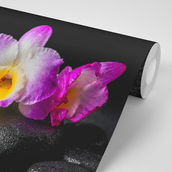 Fototapeta orchidea na kamieniach Zen