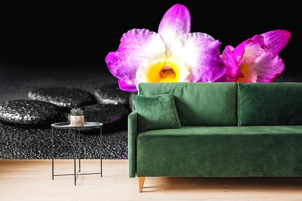 Fototapeta orchidea na kamieniach Zen