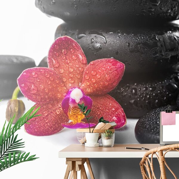 Fototapeta orchidea i zen kamienie na białym tle