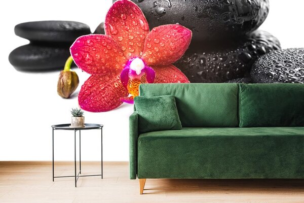 Fototapeta orchidea i zen kamienie na białym tle