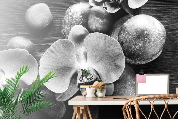 Fototapeta czarno-biała orchidea i kamienie