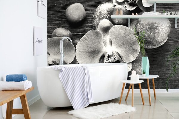 Fototapeta czarno-biała orchidea i kamienie
