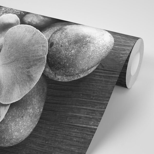 Fototapeta czarno-biała orchidea i kamienie