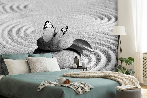 Fototapeta czarno-biały motyl na kamieniu Zen
