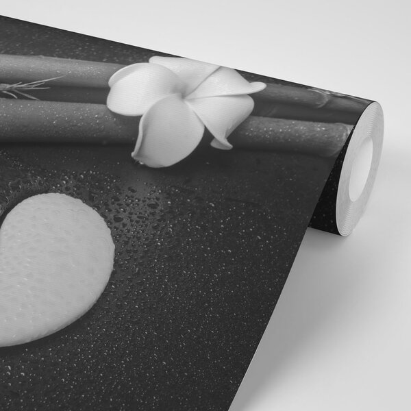 Fototapeta czarno-biała martwa natura z Yin i Yang