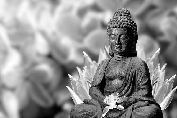 Fototapeta spokojny czarno-biały Budda