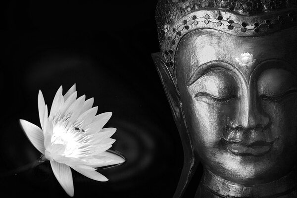 Tapeta boski czarno-biały Budda