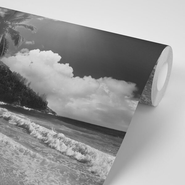 Fototapeta plaża na wyspie Seszele w czerni i bieli